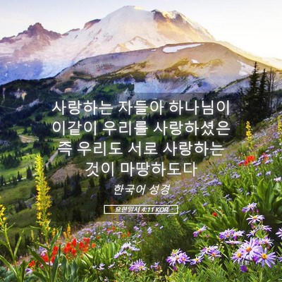 Picture 05 - 요한일서 4:11 KOR - 사랑하는 자들아 하나님이 이같이 - Bible Verse Picture