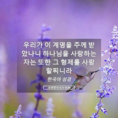 Picture 05 - 요한일서 4:21 KOR - 우리가 이 계명을 주께 받았나니 - Bible Verse Picture
