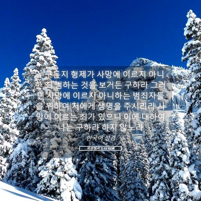 Picture 05 - 요한일서 5:16 KOR - 누구든지 형제가 사망에 이르지 - Bible Verse Picture