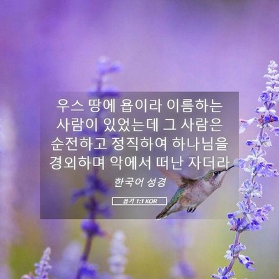 Picture 05 - 욥기 1:1 KOR - 우스 땅에 욥이라 이름하는 사람이 - Bible Verse Picture