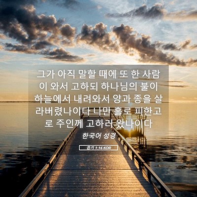 Picture 05 - 욥기 1:16 KOR - 그가 아직 말할 때에 또 한 사람이 - Bible Verse Picture