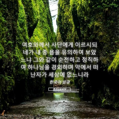 Picture 05 - 욥기 1:8 KOR - 여호와께서 사단에게 이르시되 네가 - Bible Verse Picture