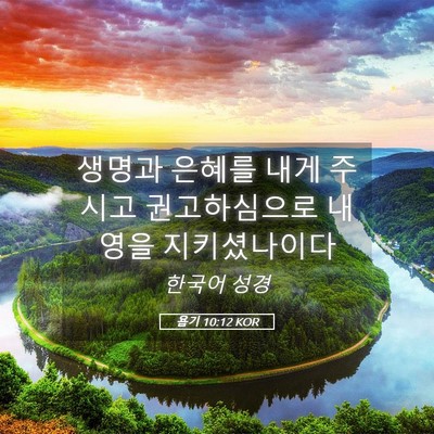 Picture 05 - 욥기 10:12 KOR - 생명과 은혜를 내게 주시고 - Bible Verse Picture