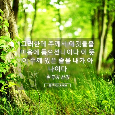 Picture 05 - 욥기 10:13 KOR - 그러한데 주께서 이것들을 마음에 - Bible Verse Picture