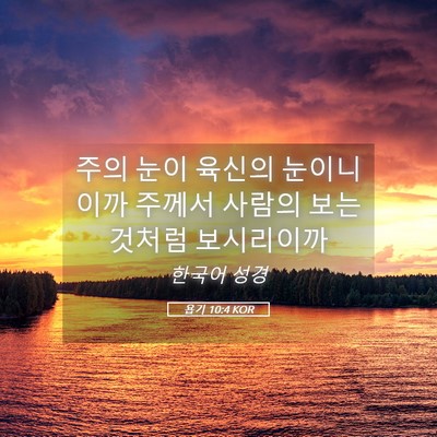 Picture 05 - 욥기 10:4 KOR - 주의 눈이 육신의 눈이니이까 주께서 - Bible Verse Picture