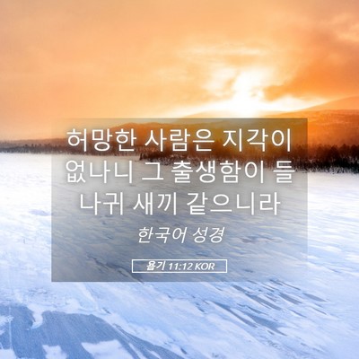 Picture 05 - 욥기 11:12 KOR - 허망한 사람은 지각이 없나니 그 - Bible Verse Picture