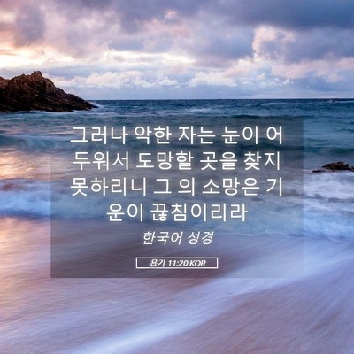 Picture 05 - 욥기 11:20 KOR - 그러나 악한 자는 눈이 어두워서 - Bible Verse Picture
