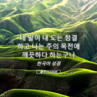 Picture 05 - 욥기 11:4 KOR - 네 말이 내 도는 정결하고 나는 주의 - Bible Verse Picture
