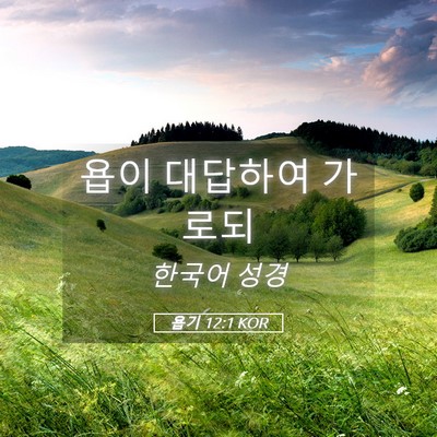 Picture 05 - 욥기 12:1 KOR - 욥이 대답하여 - Bible Verse Picture