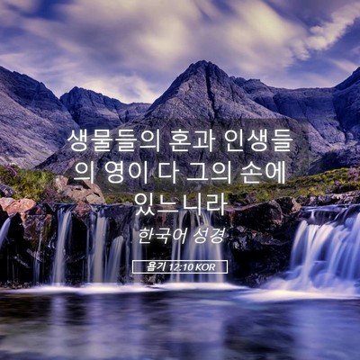 Picture 05 - 욥기 12:10 KOR - 생물들의 혼과 인생들의 영이 다 - Bible Verse Picture