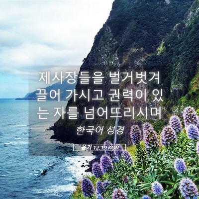 Picture 05 - 욥기 12:19 KOR - 제사장들을 벌거벗겨 끌어 가시고 - Bible Verse Picture