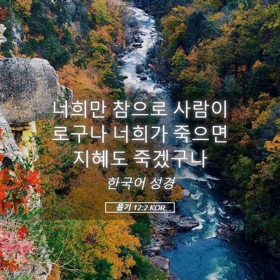 Picture 05 - 욥기 12:2 KOR - 너희만 참으로 사람이로구나 너희가 - Bible Verse Picture