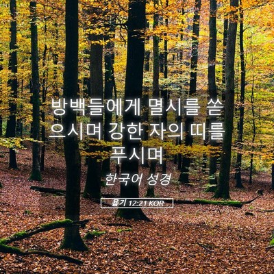 Picture 05 - 욥기 12:21 KOR - 방백들에게 멸시를 쏟으시며 강한 - Bible Verse Picture