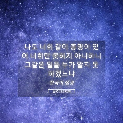 Picture 05 - 욥기 12:3 KOR - 나도 너희 같이 총명이 있어 너희만 - Bible Verse Picture