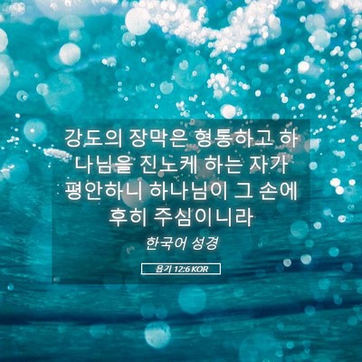 Picture 05 - 욥기 12:6 KOR - 강도의 장막은 형통하고 하나님을 - Bible Verse Picture