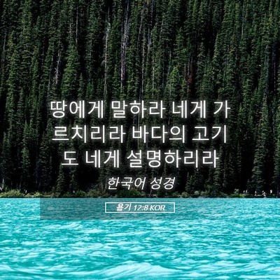 Picture 05 - 욥기 12:8 KOR - 땅에게 말하라 네게 가르치리라 - Bible Verse Picture