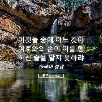 Picture 05 - 욥기 12:9 KOR - 이것들 중에 어느 것이 여호와의 - Bible Verse Picture