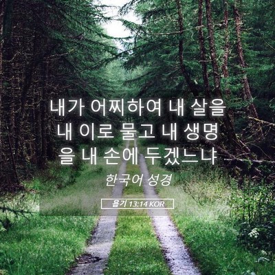 Picture 05 - 욥기 13:14 KOR - 내가 어찌하여 내 살을 내 이로 물고 - Bible Verse Picture