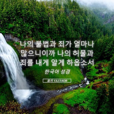 Picture 05 - 욥기 13:23 KOR - 나의 불법과 죄가 얼마나 많으니이까 - Bible Verse Picture