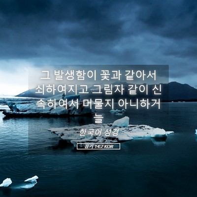 Picture 05 - 욥기 14:2 KOR - 그 발생함이 꽃과 같아서 쇠하여지고 - Bible Verse Picture