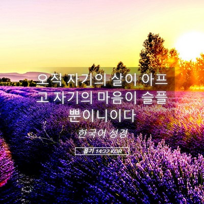 Picture 05 - 욥기 14:22 KOR - 오직 자기의 살이 아프고 자기의 - Bible Verse Picture