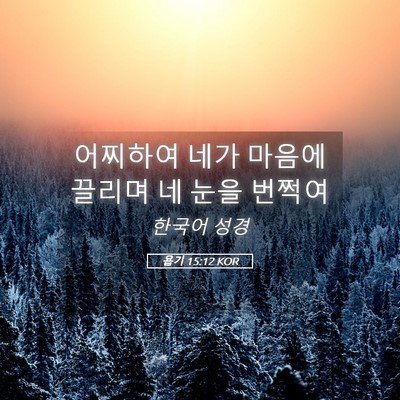 Picture 05 - 욥기 15:12 KOR - 어찌하여 네가 마음에 끌리며 네 - Bible Verse Picture