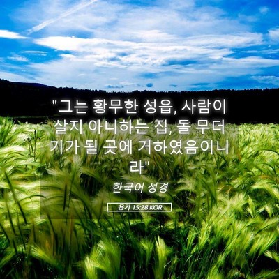 Picture 05 - 욥기 15:28 KOR - 