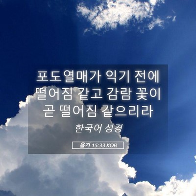 Picture 05 - 욥기 15:33 KOR - 포도열매가 익기 전에 떨어짐 같고 - Bible Verse Picture