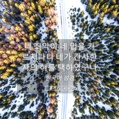 Picture 05 - 욥기 15:5 KOR - 네 죄악이 네 입을 가르치나니 네가 - Bible Verse Picture
