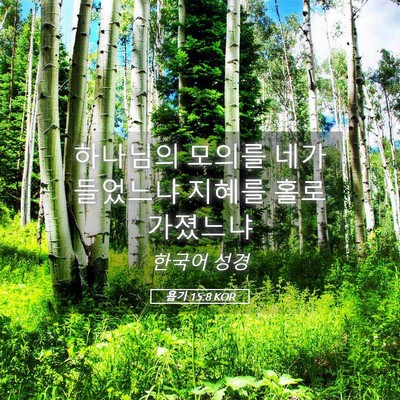 Picture 05 - 욥기 15:8 KOR - 하나님의 모의를 네가 들었느냐 - Bible Verse Picture