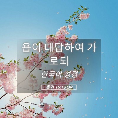 Picture 05 - 욥기 16:1 KOR - 욥이 대답하여 - Bible Verse Picture