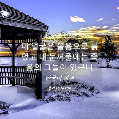 Picture 05 - 욥기 16:16 KOR - 내 얼굴은 울음으로 붉었고 내 - Bible Verse Picture