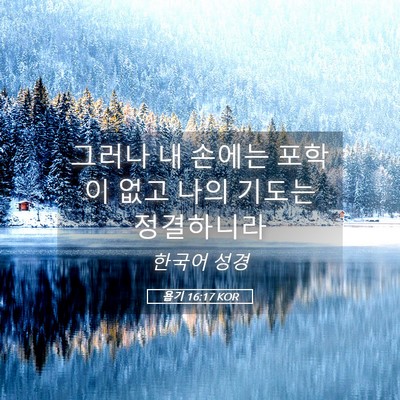 Picture 05 - 욥기 16:17 KOR - 그러나 내 손에는 포학이 없고 나의 - Bible Verse Picture