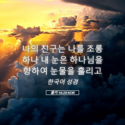 Picture 05 - 욥기 16:20 KOR - 나의 친구는 나를 조롱하나 내 눈은 - Bible Verse Picture