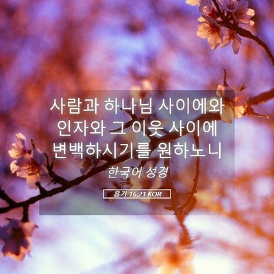Picture 05 - 욥기 16:21 KOR - 사람과 하나님 사이에와 인자와 그 - Bible Verse Picture