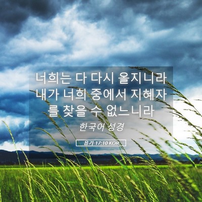 Picture 05 - 욥기 17:10 KOR - 너희는 다 다시 올지니라 내가 너희 - Bible Verse Picture