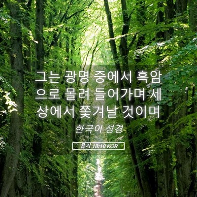 Picture 05 - 욥기 18:18 KOR - 그는 광명 중에서 흑암으로 몰려 - Bible Verse Picture