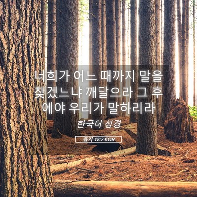 Picture 05 - 욥기 18:2 KOR - 너희가 어느 때까지 말을 찾겠느냐 - Bible Verse Picture