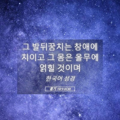 Picture 05 - 욥기 18:9 KOR - 그 발뒤꿈치는 창애에 치이고 그 - Bible Verse Picture