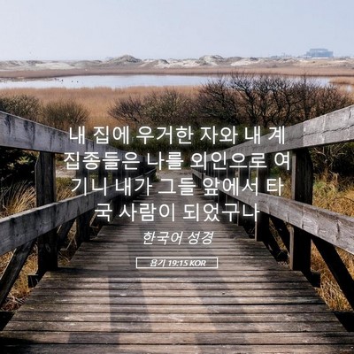 Picture 05 - 욥기 19:15 KOR - 내 집에 우거한 자와 내 계집종들은 - Bible Verse Picture