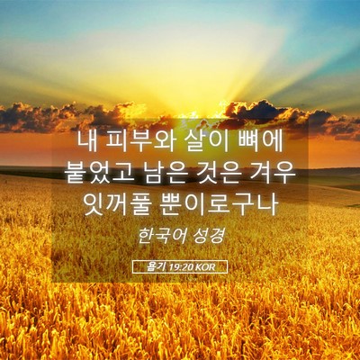 Picture 05 - 욥기 19:20 KOR - 내 피부와 살이 뼈에 붙었고 남은 - Bible Verse Picture