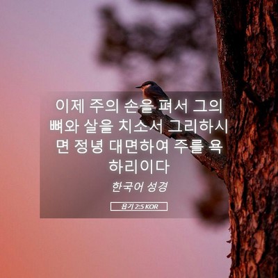 Picture 05 - 욥기 2:5 KOR - 이제 주의 손을 펴서 그의 뼈와 살을 - Bible Verse Picture