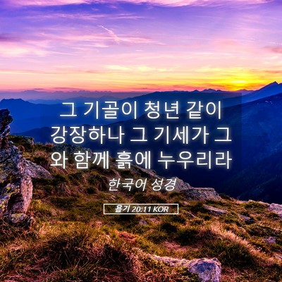 Picture 05 - 욥기 20:11 KOR - 그 기골이 청년 같이 강장하나 그 - Bible Verse Picture
