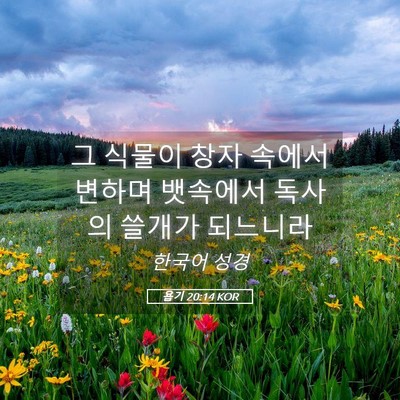 Picture 05 - 욥기 20:14 KOR - 그 식물이 창자 속에서 변하며 - Bible Verse Picture