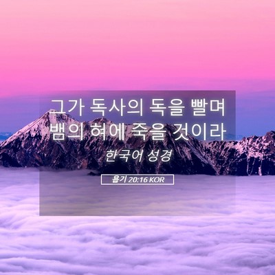 Picture 05 - 욥기 20:16 KOR - 그가 독사의 독을 빨며 뱀의 혀에 - Bible Verse Picture