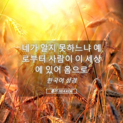 Picture 05 - 욥기 20:4 KOR - 네가 알지 못하느냐 예로부터 사람이 - Bible Verse Picture