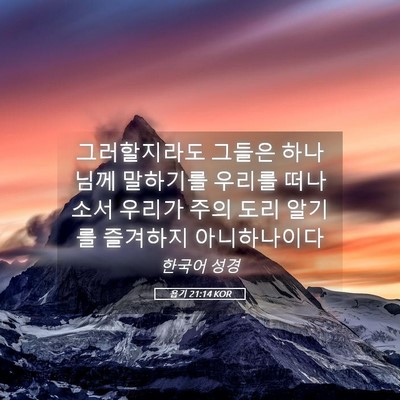 Picture 05 - 욥기 21:14 KOR - 그러할지라도 그들은 하나님께 - Bible Verse Picture
