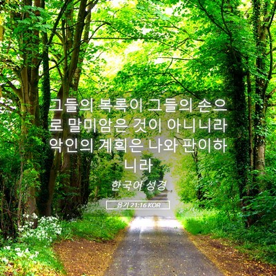 Picture 05 - 욥기 21:16 KOR - 그들의 복록이 그들의 손으로 - Bible Verse Picture