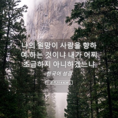 Picture 05 - 욥기 21:4 KOR - 나의 원망이 사람을 향하여 하는 - Bible Verse Picture