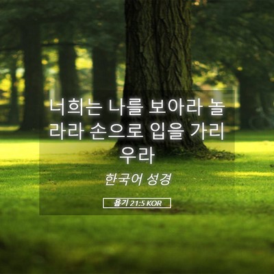 Picture 05 - 욥기 21:5 KOR - 너희는 나를 보아라 놀라라 손으로 - Bible Verse Picture